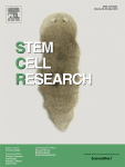 مجله علمی  تحقیقات سلول بنیادی