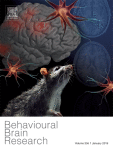 مجله علمی  تحقیقات مغز رفتاری