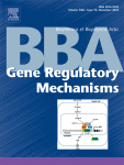 Biochimica et Biophysica Acta (BBA) - Gene Regulatory Mechanisms