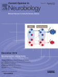 مجله علمی  دیدگاه رایج در نوروبیولوژی
