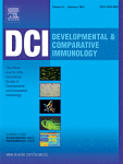 Developmental & Comparative Immunology