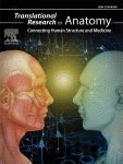Translational Research in Anatomy