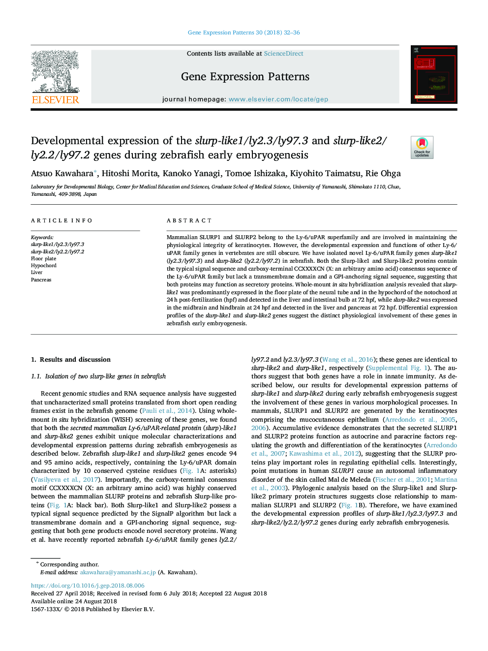 Developmental expression of the slurp-like1/ly2.3/ly97.3 and slurp-like2/ly2.2/ly97.2 genes during zebrafish early embryogenesis