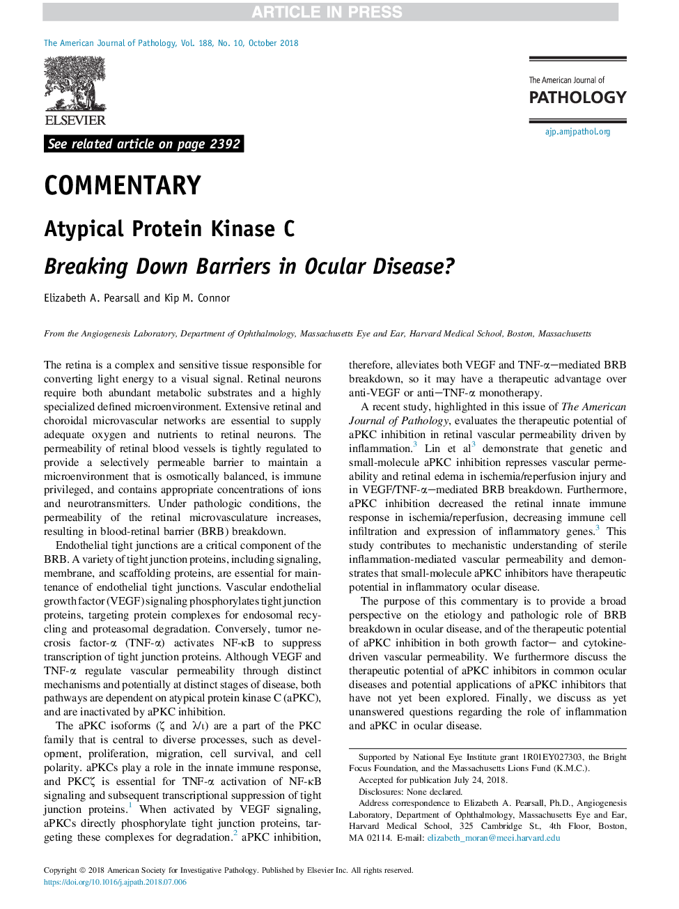 Atypical Protein Kinase C