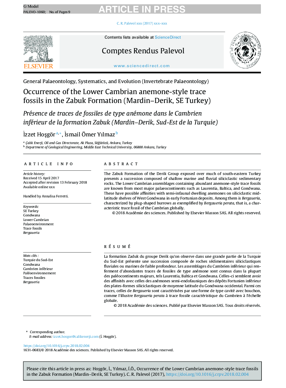 Occurrence of the Lower Cambrian anemone-style trace fossils in the Zabuk Formation (Mardin-Derik, SE Turkey)