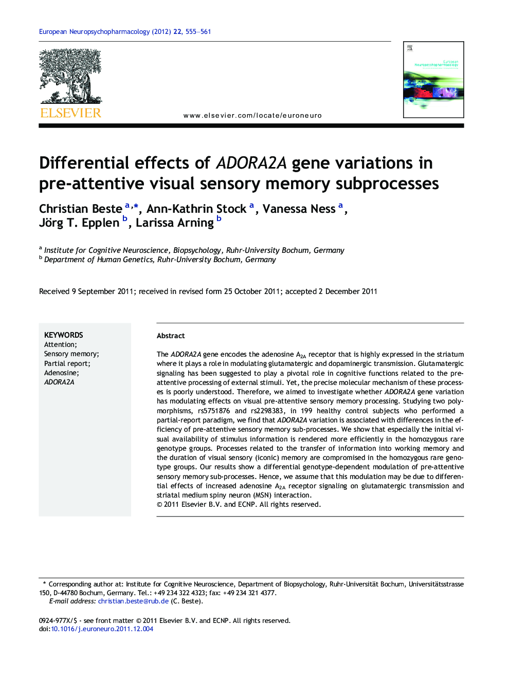 Differential effects of ADORA2A gene variations in pre-attentive visual sensory memory subprocesses