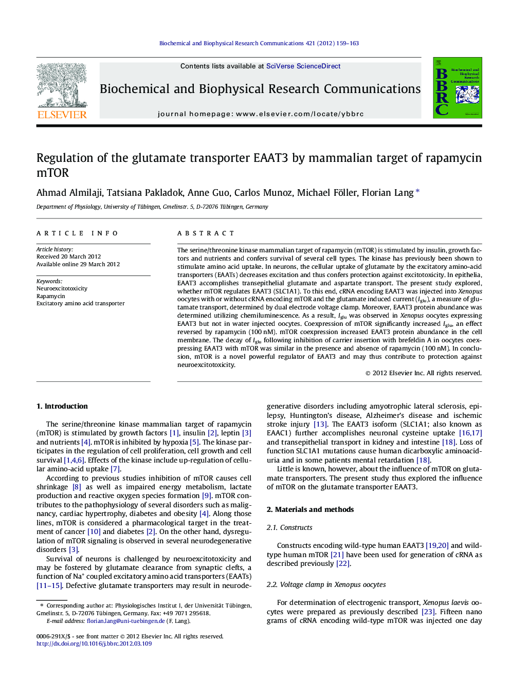 Regulation of the glutamate transporter EAAT3 by mammalian target of rapamycin mTOR