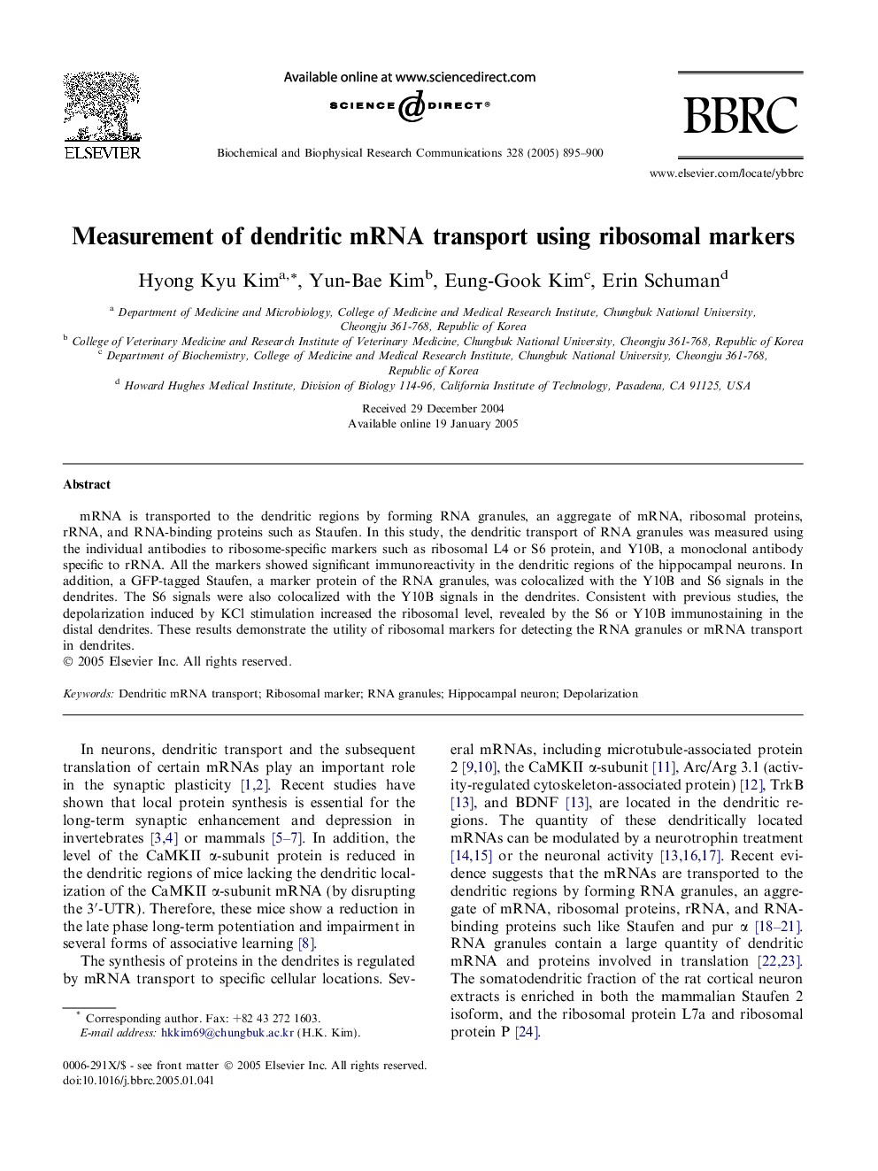 Measurement of dendritic mRNA transport using ribosomal markers