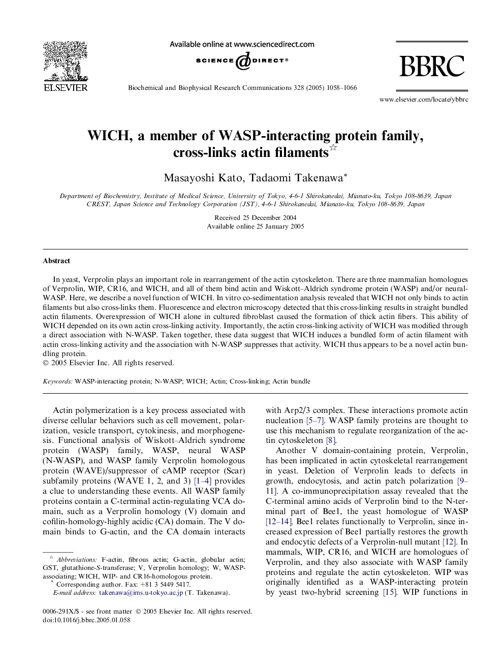 WICH, a member of WASP-interacting protein family, cross-links actin filaments