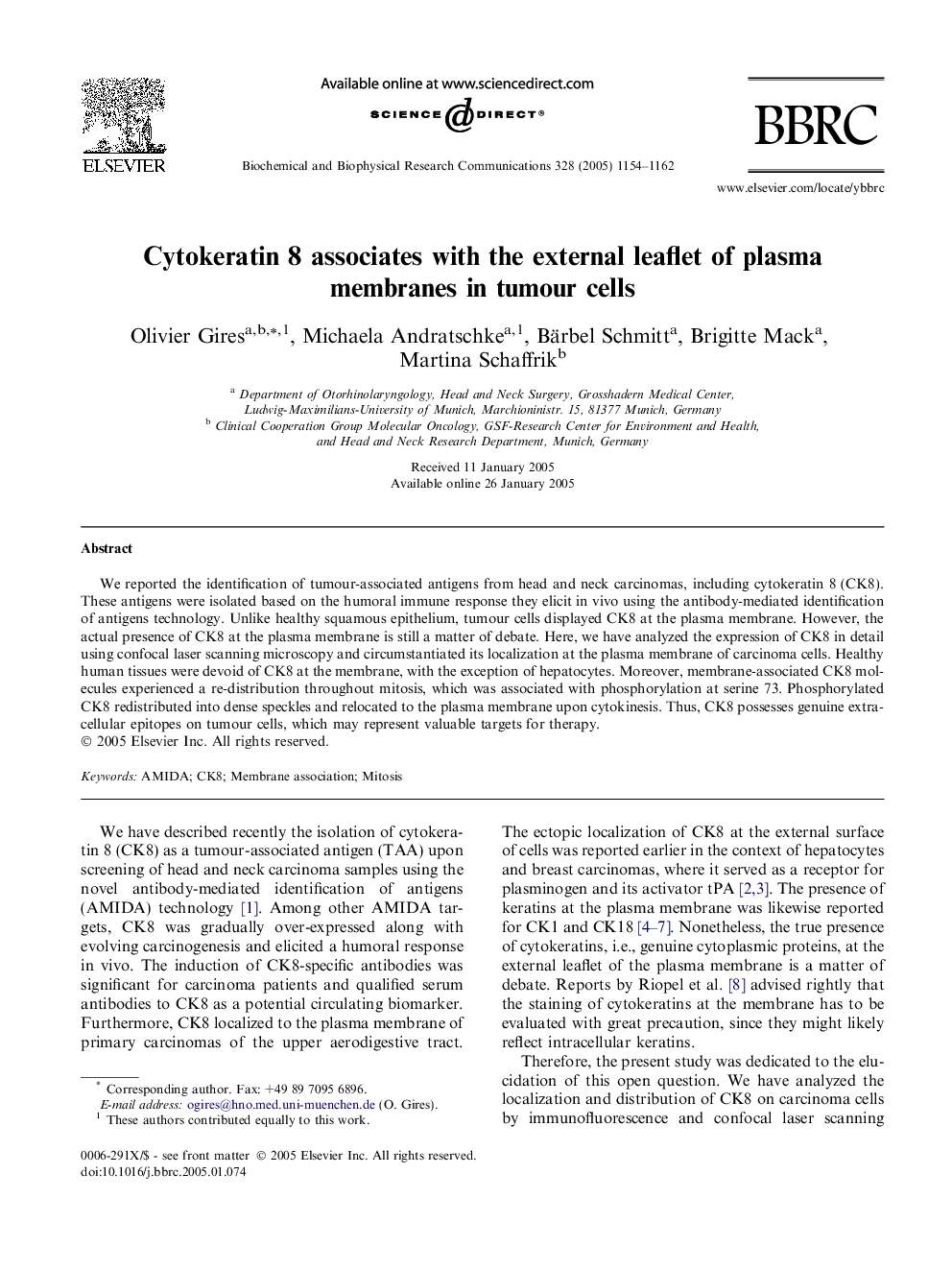 Cytokeratin 8 associates with the external leaflet of plasma membranes in tumour cells