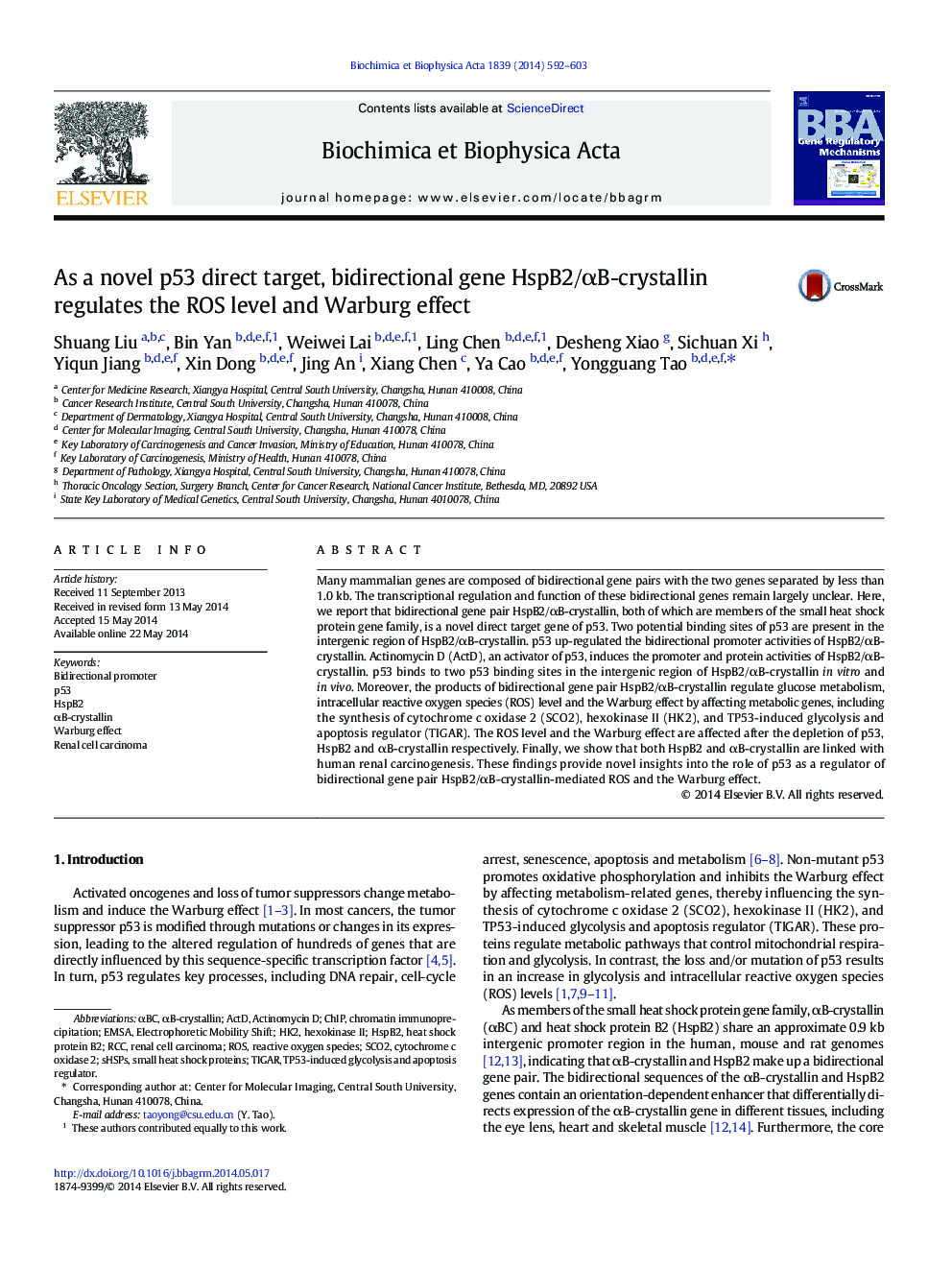 As a novel p53 direct target, bidirectional gene HspB2/Î±B-crystallin regulates the ROS level and Warburg effect