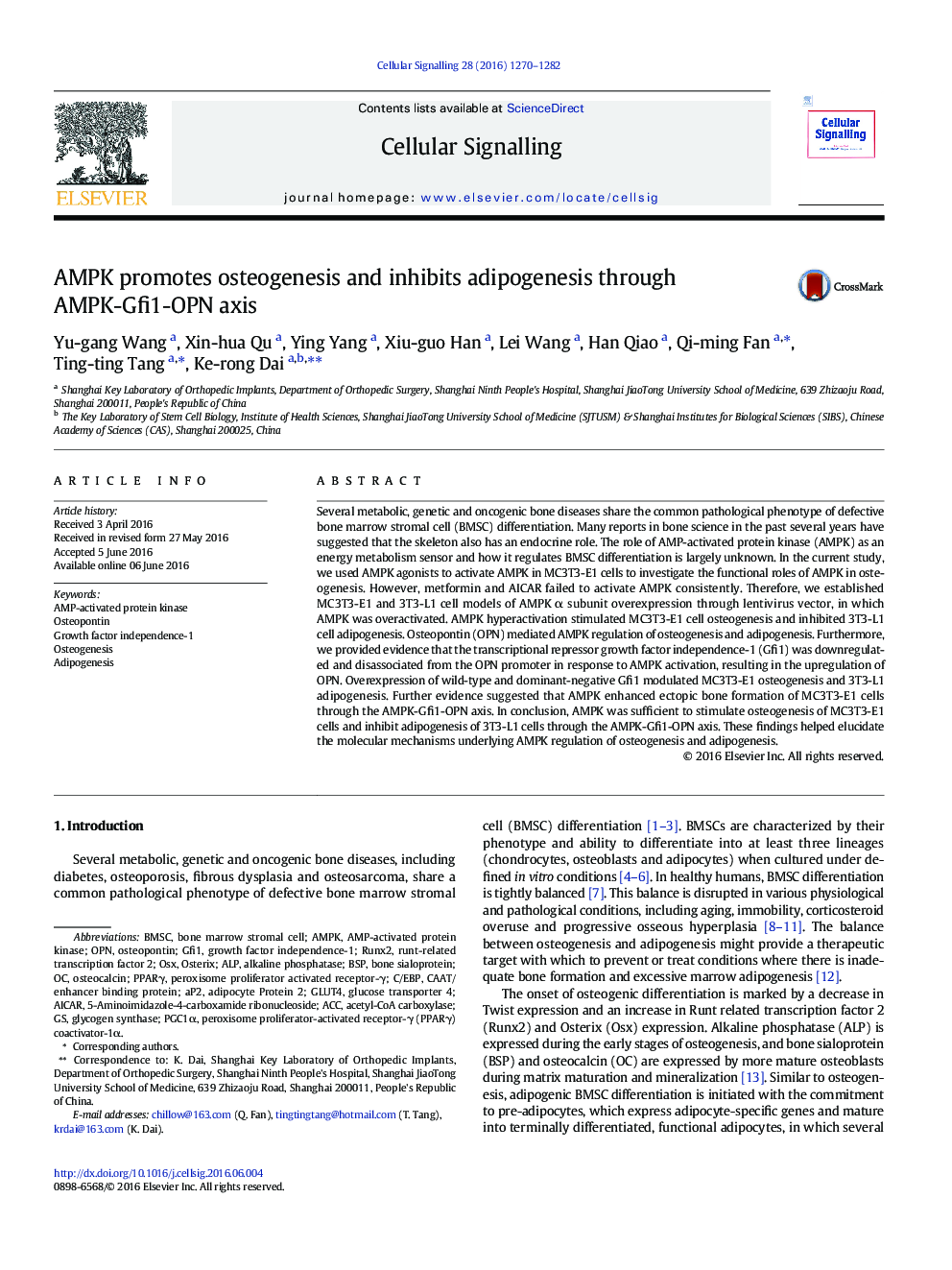 AMPK promotes osteogenesis and inhibits adipogenesis through AMPK-Gfi1-OPN axis