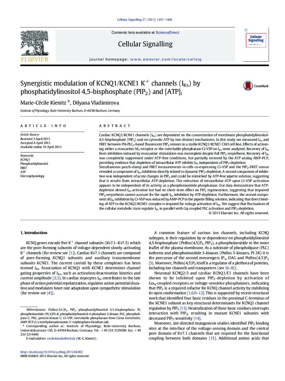 Synergistic modulation of KCNQ1/KCNE1 K+ channels (IKs) by phosphatidylinositol 4,5-bisphosphate (PIP2) and [ATP]i
