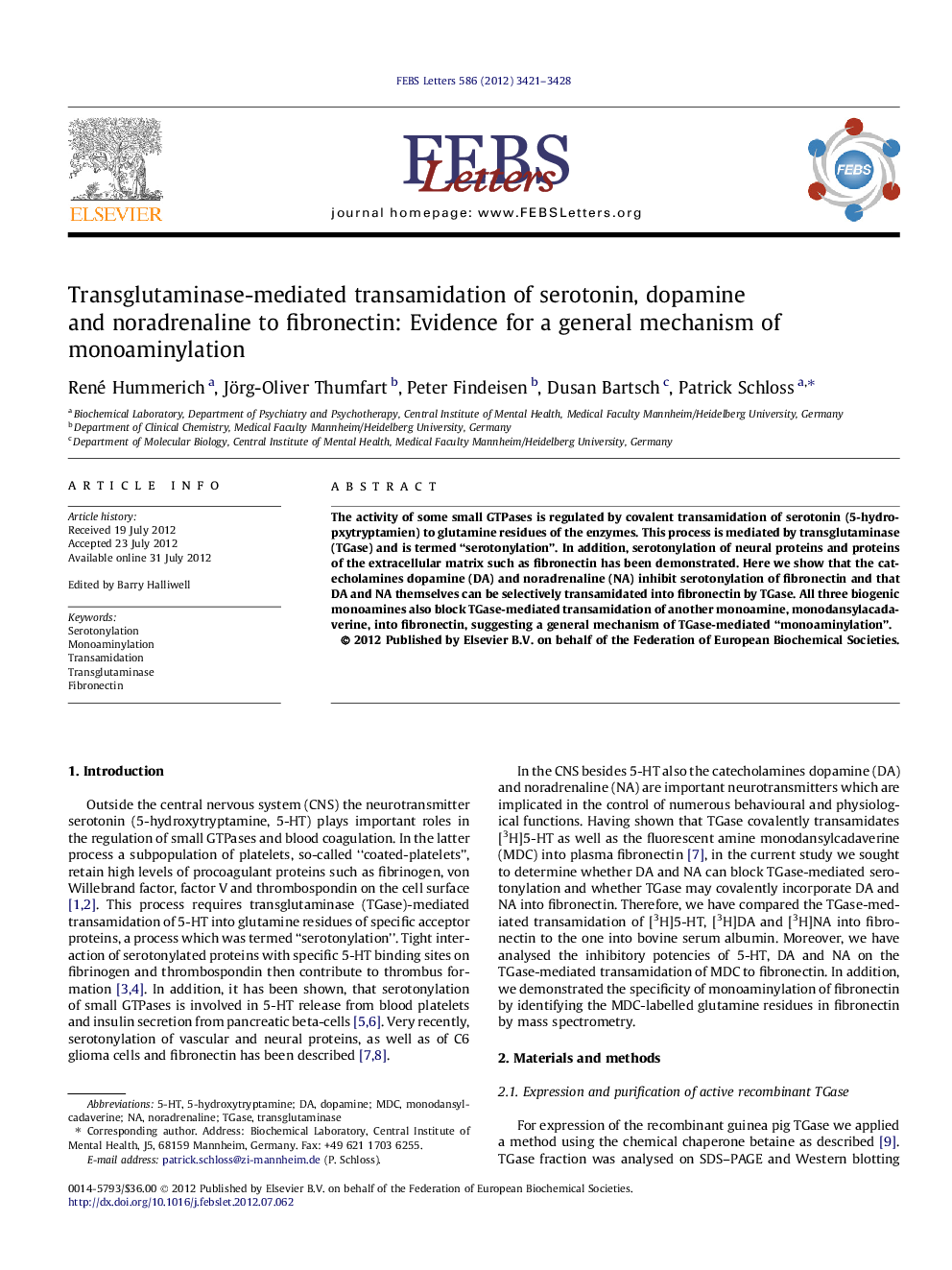 Transglutaminase-mediated transamidation of serotonin, dopamine and noradrenaline to fibronectin: Evidence for a general mechanism of monoaminylation