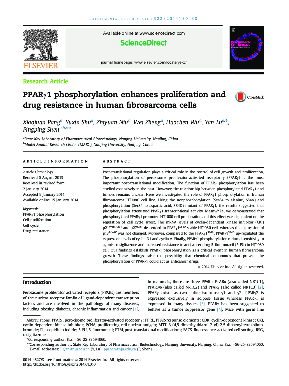 PPARÎ³1 phosphorylation enhances proliferation and drug resistance in human fibrosarcoma cells