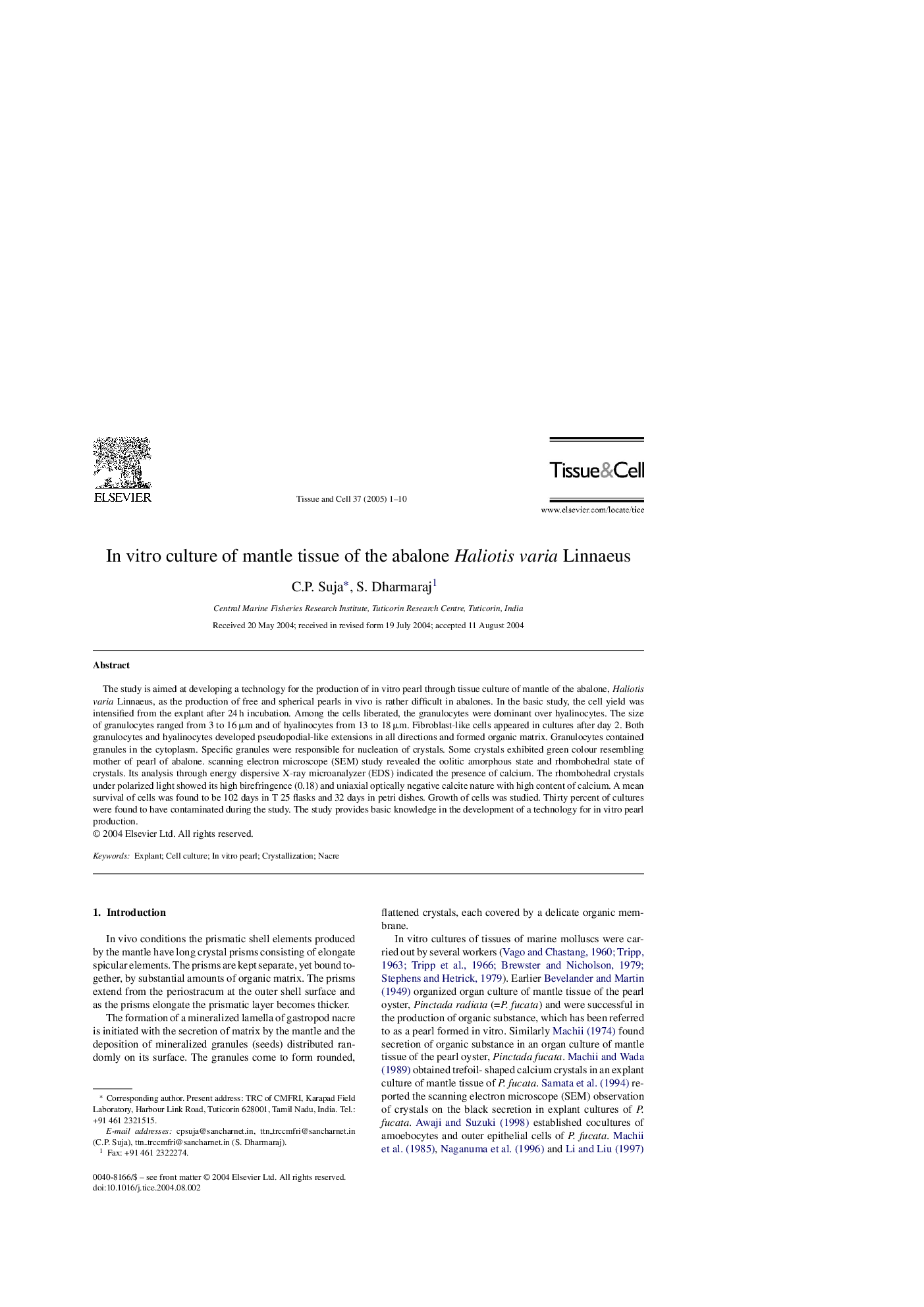 In vitro culture of mantle tissue of the abalone Haliotis varia Linnaeus