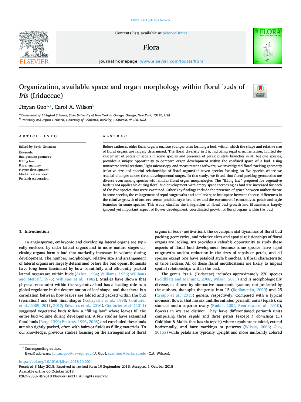 Organization, available space and organ morphology within floral buds of Iris (Iridaceae)