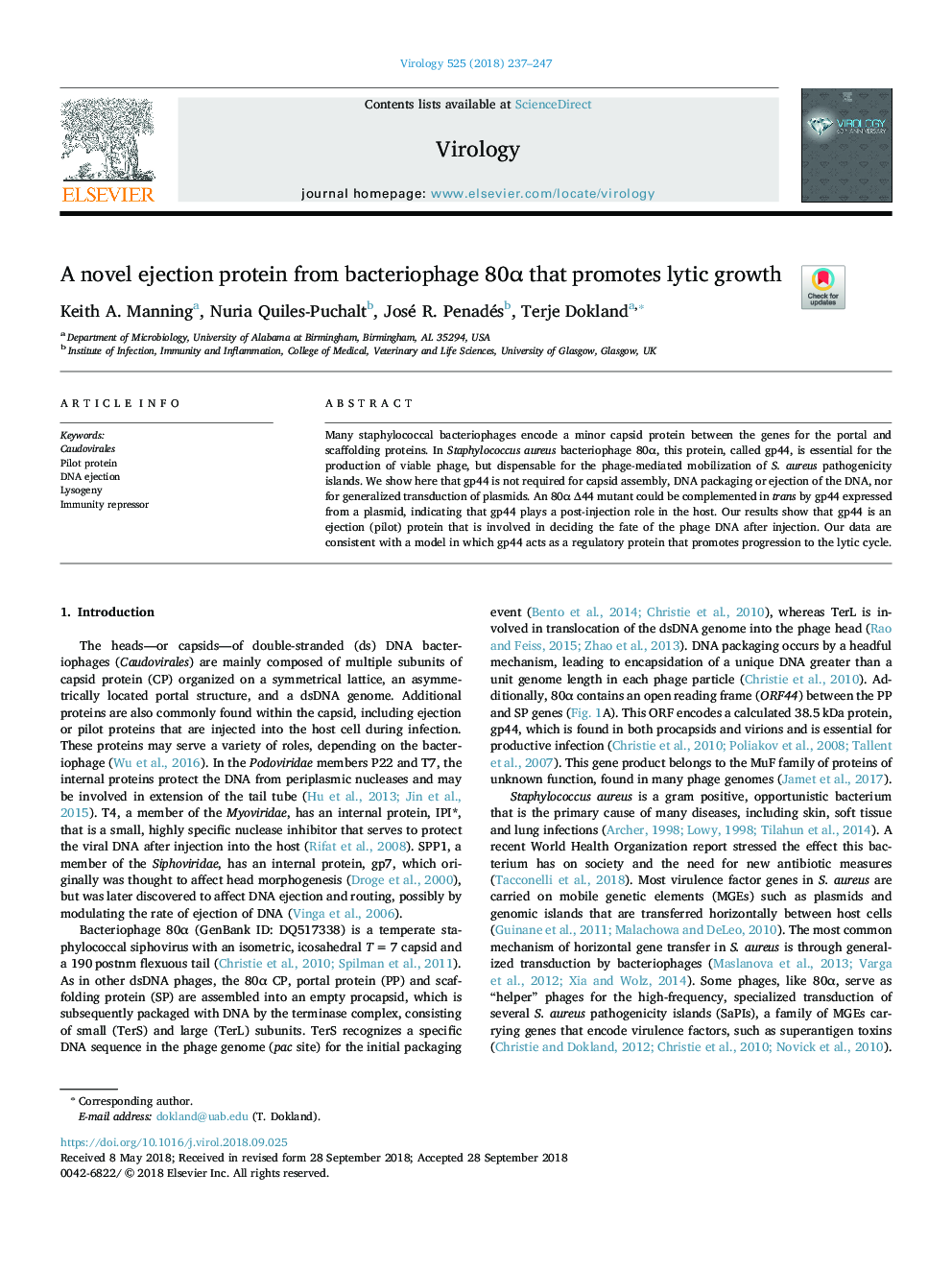 A novel ejection protein from bacteriophage 80Î± that promotes lytic growth