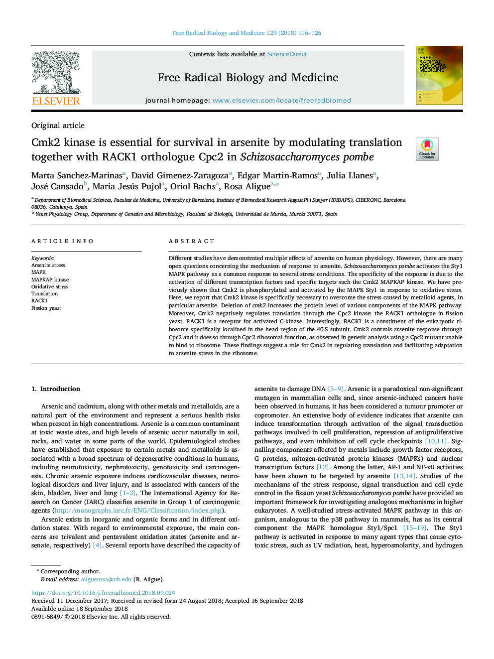 Cmk2 kinase is essential for survival in arsenite by modulating translation together with RACK1 orthologue Cpc2 in Schizosaccharomyces pombe