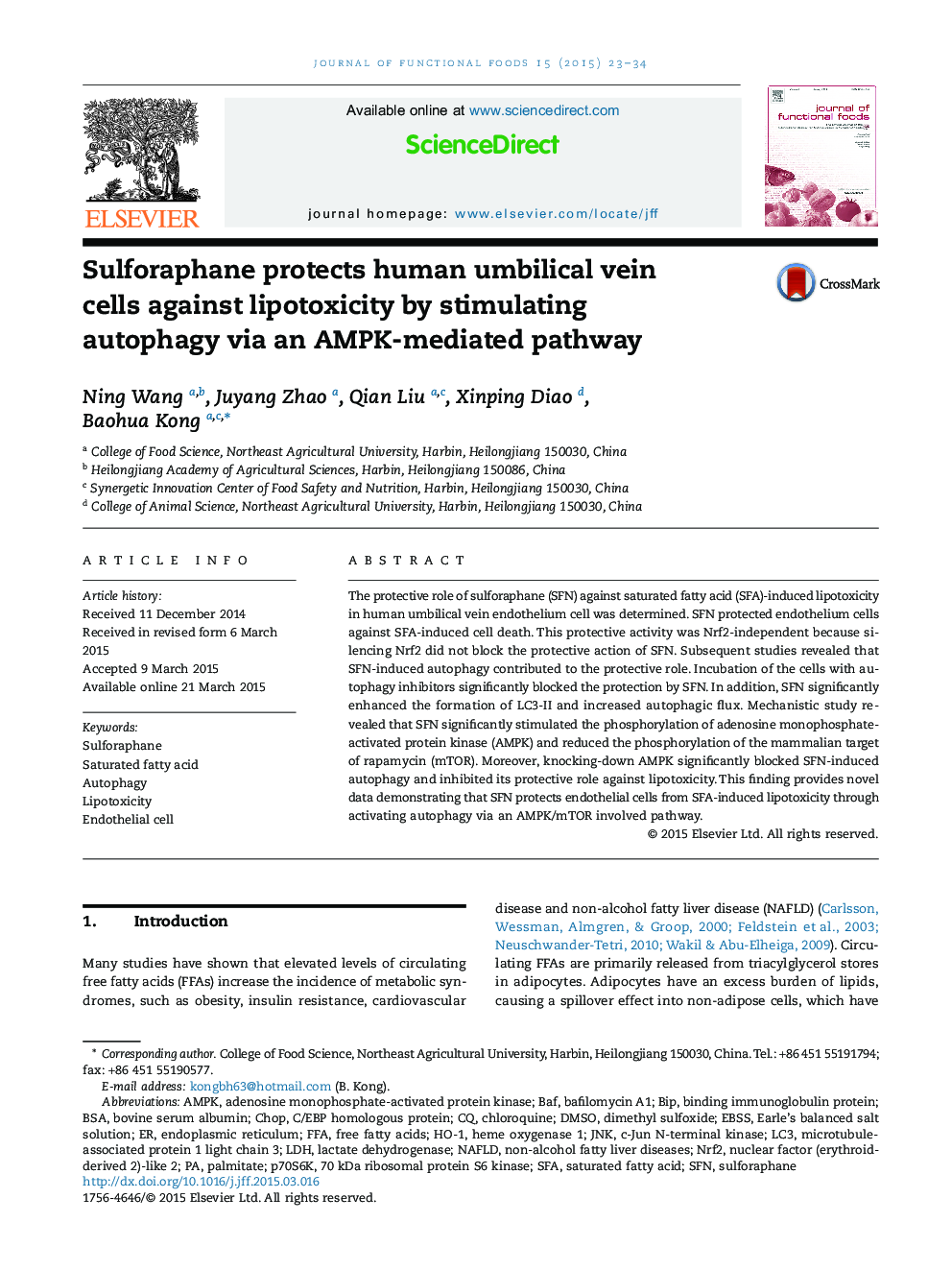 Sulforaphane protects human umbilical vein cells against lipotoxicity by stimulating autophagy via an AMPK-mediated pathway