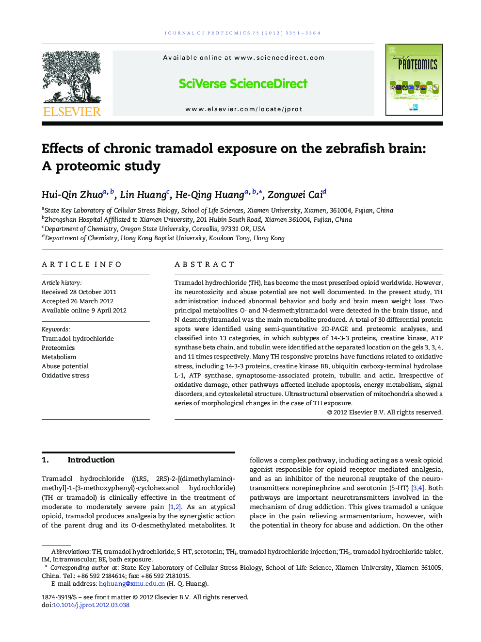 Effects of chronic tramadol exposure on the zebrafish brain: A proteomic study