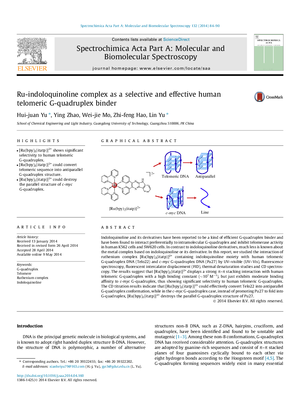Ru-indoloquinoline complex as a selective and effective human telomeric G-quadruplex binder