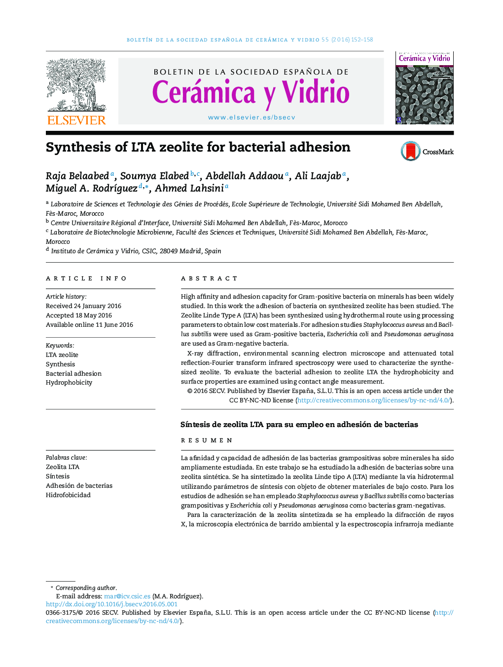 Synthesis of LTA zeolite for bacterial adhesion