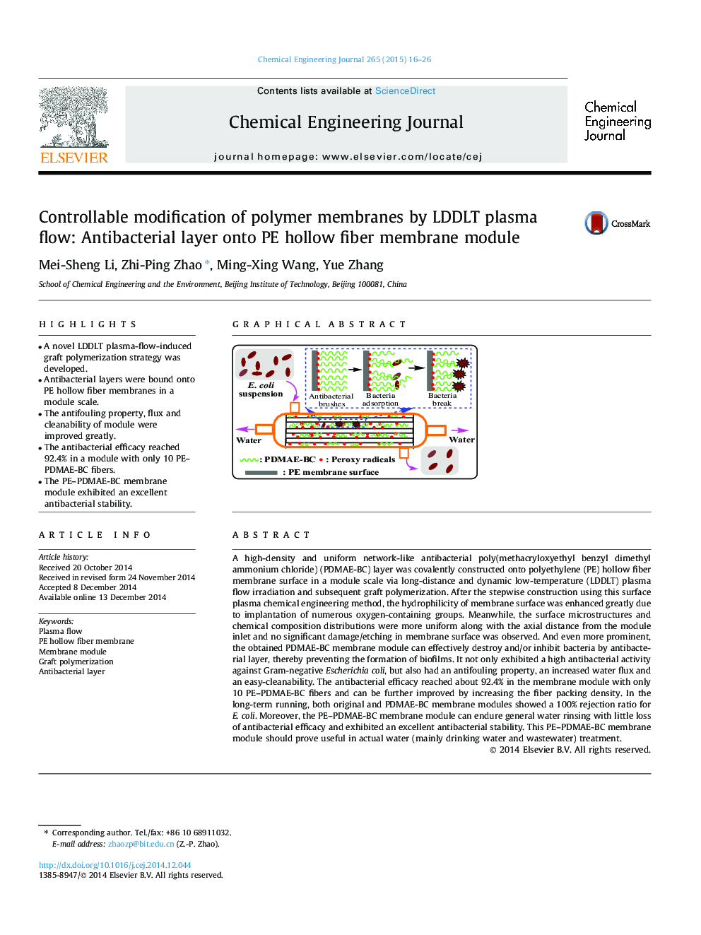 Controllable modification of polymer membranes by LDDLT plasma flow: Antibacterial layer onto PE hollow fiber membrane module