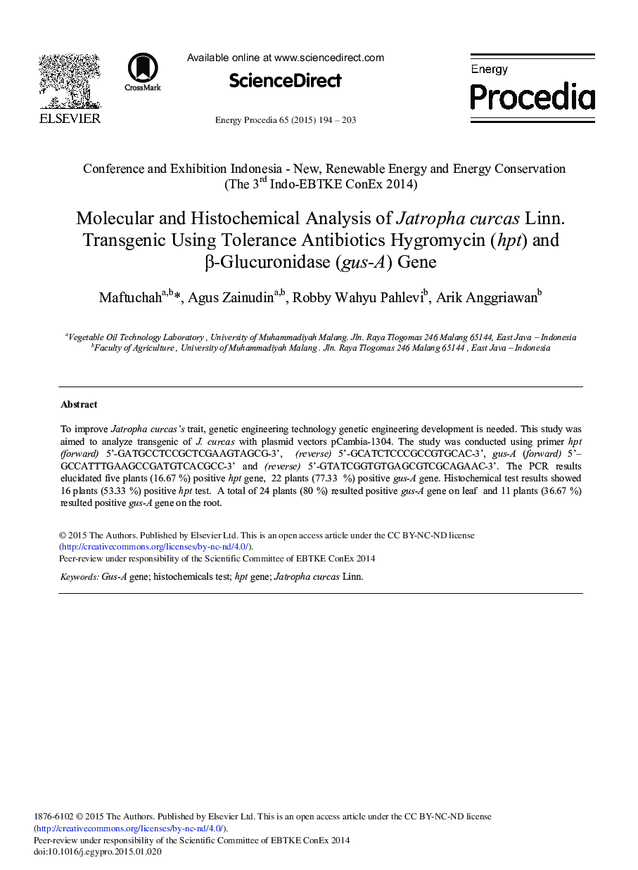 Molecular and Histochemical Analysis of Jatropha Curcas Linn. Transgenic Using Tolerance Antibiotics Hygromycin (hpt) and β-Glucuronidase (gus-A) Gene 