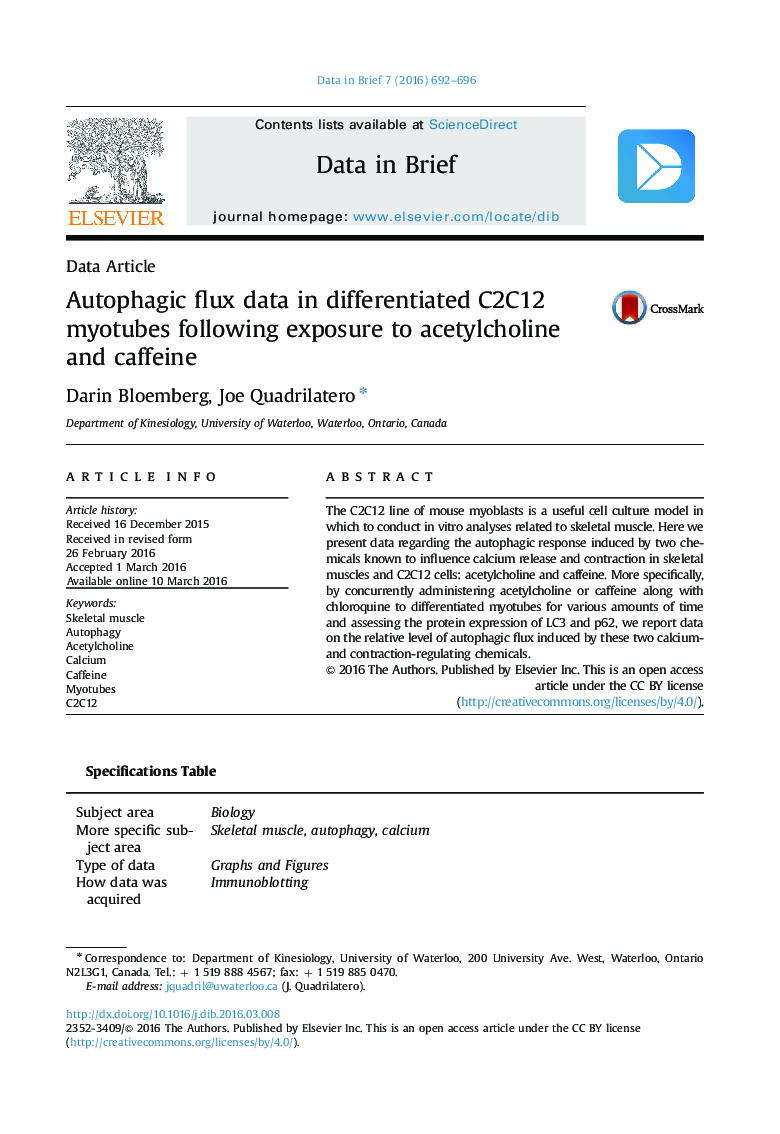 Autophagic flux data in differentiated C2C12 myotubes following exposure to acetylcholine and caffeine