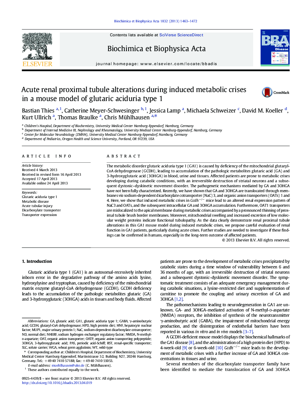 Acute renal proximal tubule alterations during induced metabolic crises in a mouse model of glutaric aciduria type 1