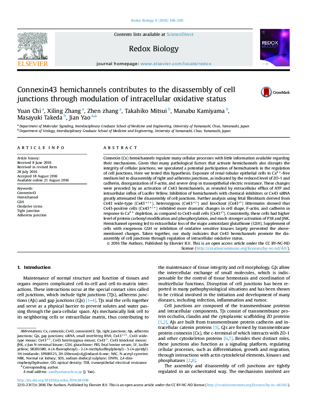 Connexin43 hemichannels contributes to the disassembly of cell junctions through modulation of intracellular oxidative status