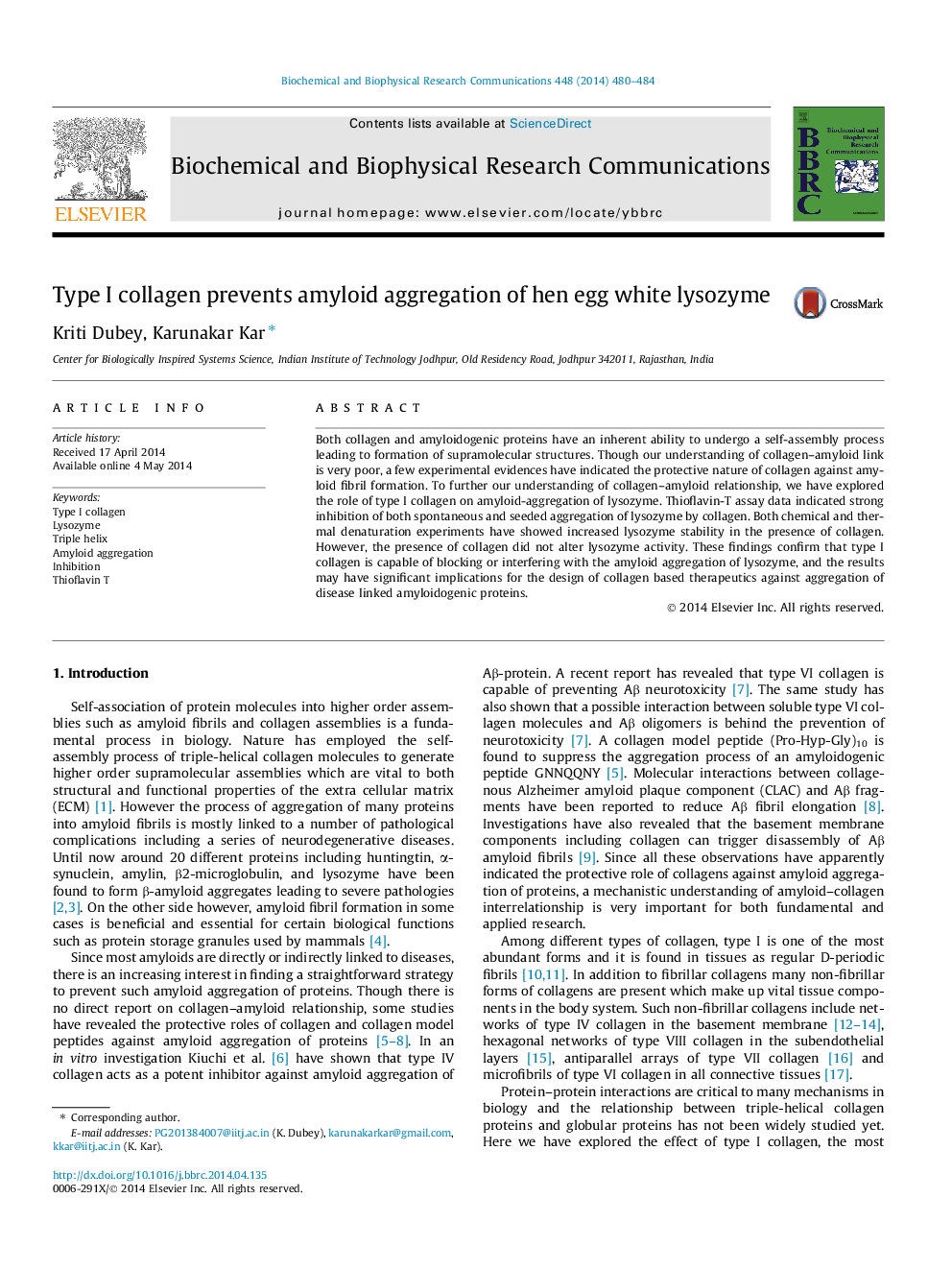 Type I collagen prevents amyloid aggregation of hen egg white lysozyme