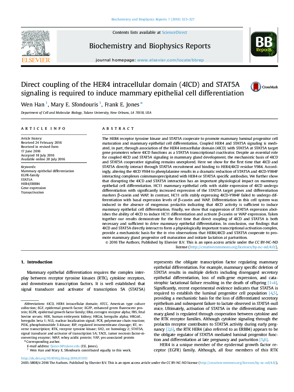 Direct coupling of the HER4 intracellular domain (4ICD) and STAT5A signaling is required to induce mammary epithelial cell differentiation