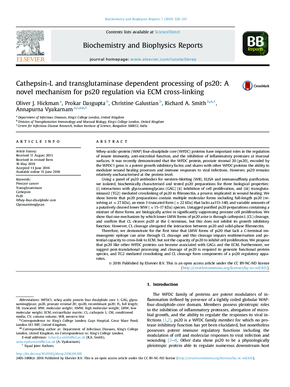 Cathepsin-L and transglutaminase dependent processing of ps20: A novel mechanism for ps20 regulation via ECM cross-linking
