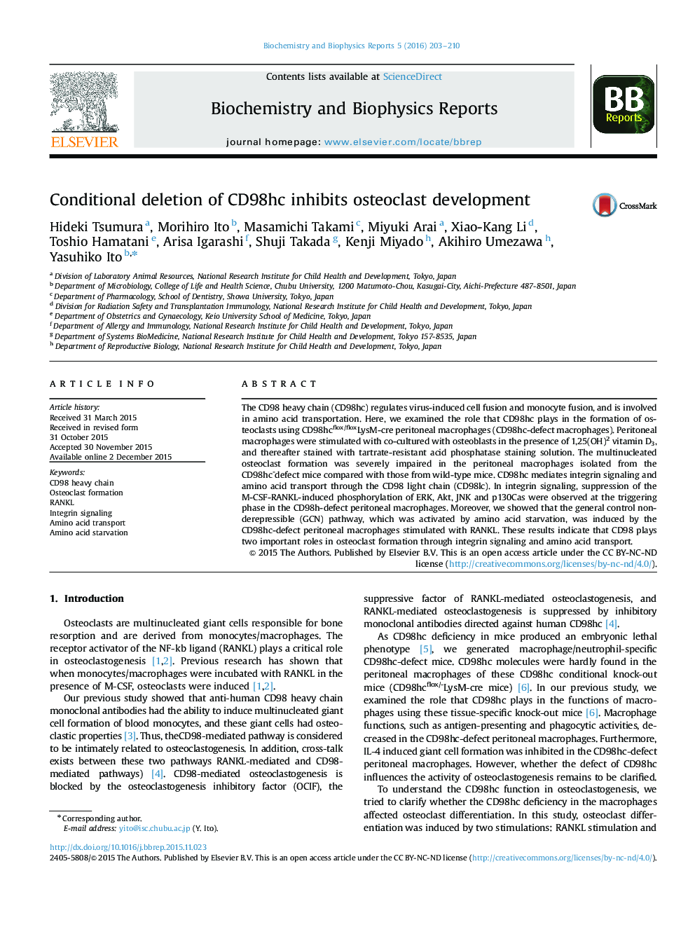 Conditional deletion of CD98hc inhibits osteoclast development