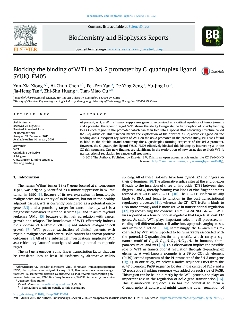 Blocking the binding of WT1 to bcl-2 promoter by G-quadruplex ligand SYUIQ-FM05