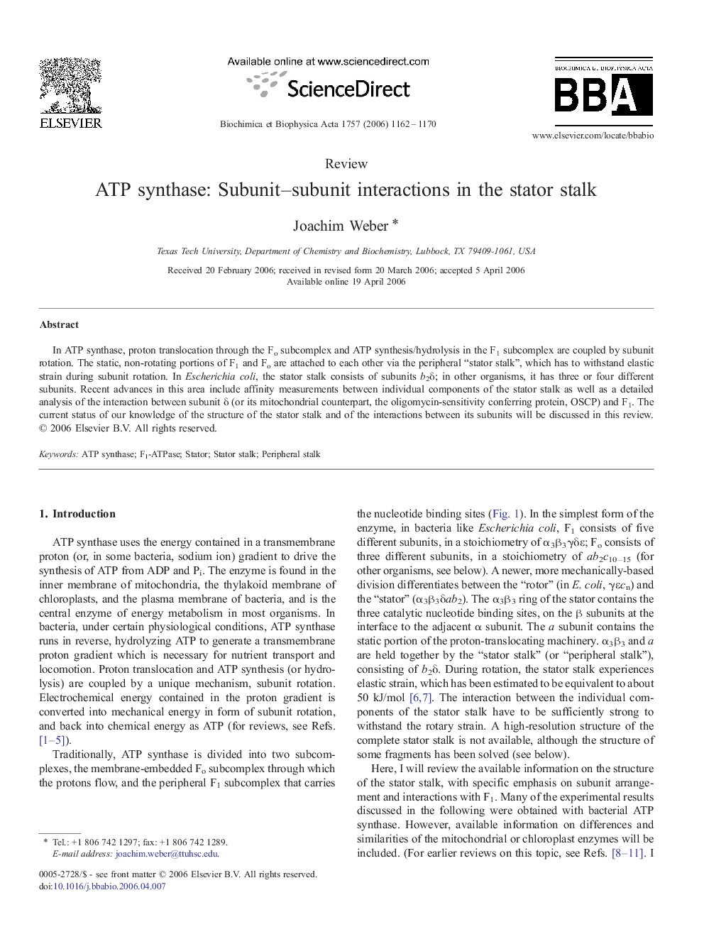 ATP synthase: Subunit–subunit interactions in the stator stalk