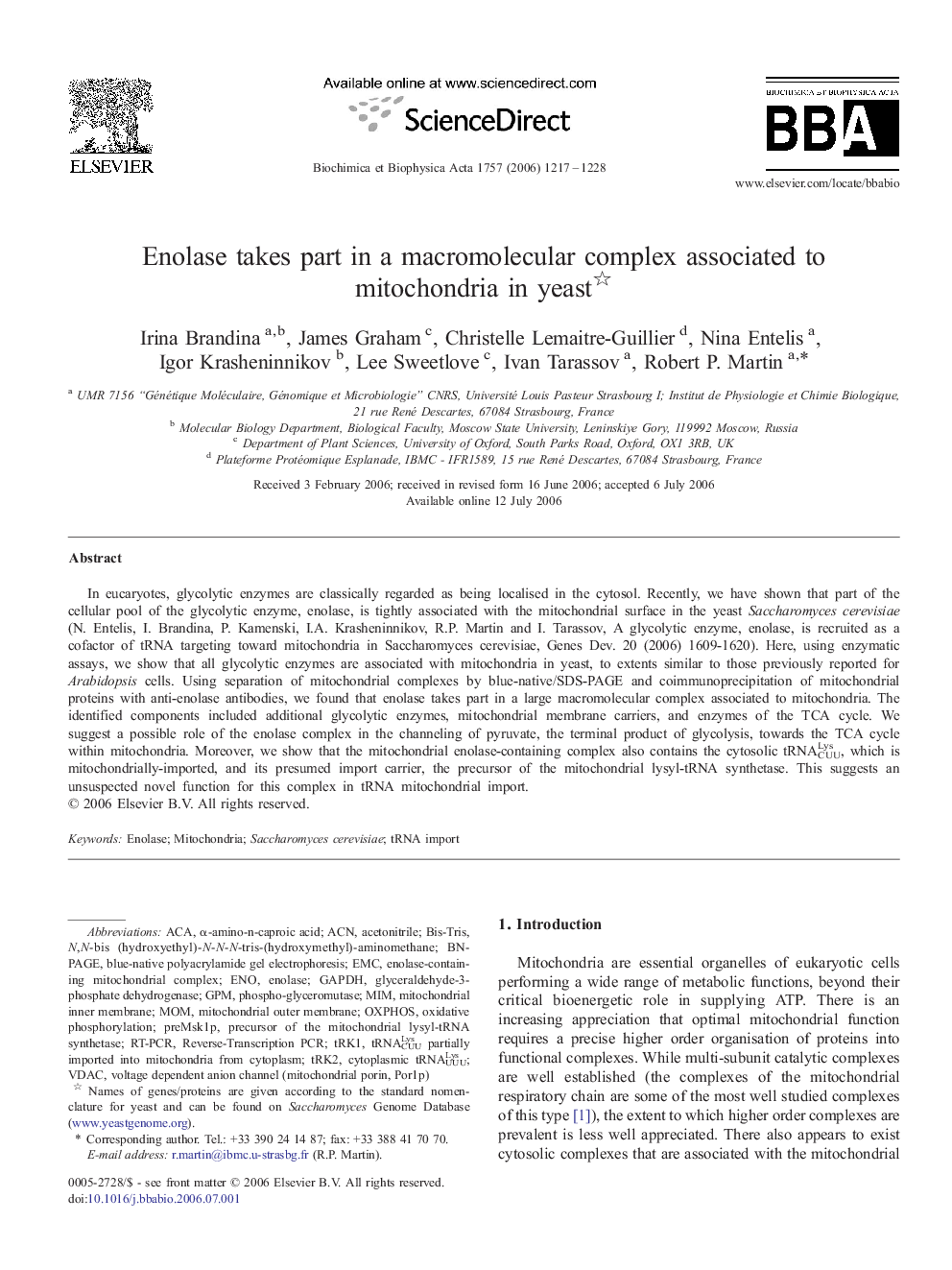 Enolase takes part in a macromolecular complex associated to mitochondria in yeast 