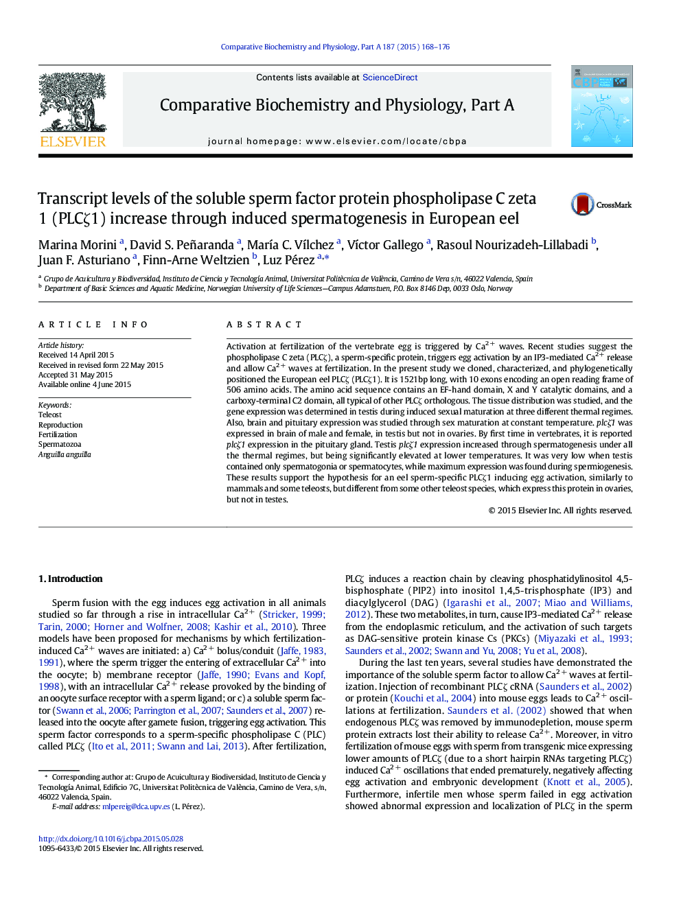 Transcript levels of the soluble sperm factor protein phospholipase C zeta 1 (PLCζ1) increase through induced spermatogenesis in European eel