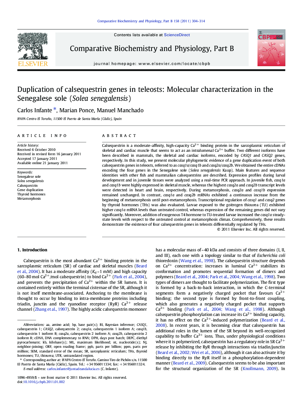 Duplication of calsequestrin genes in teleosts: Molecular characterization in the Senegalese sole (Solea senegalensis)