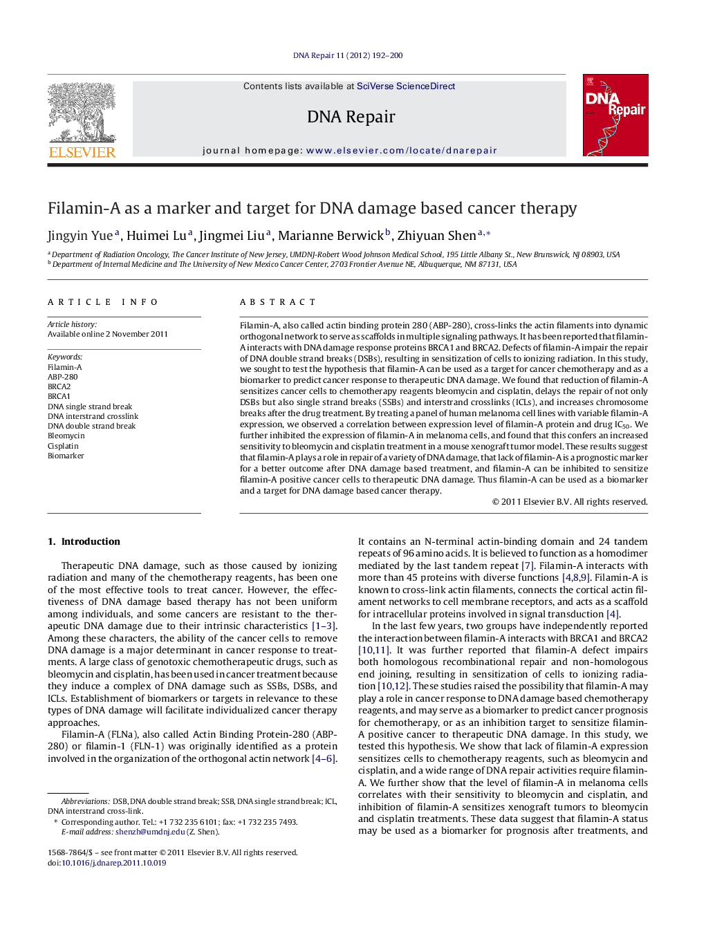 Filamin-A as a marker and target for DNA damage based cancer therapy