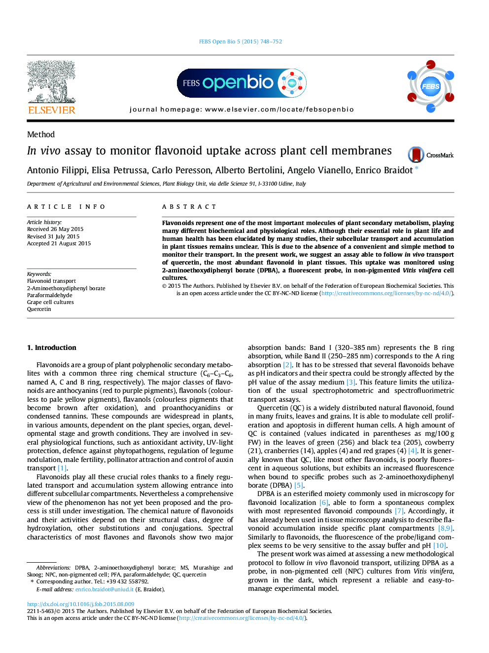 In vivo assay to monitor flavonoid uptake across plant cell membranes