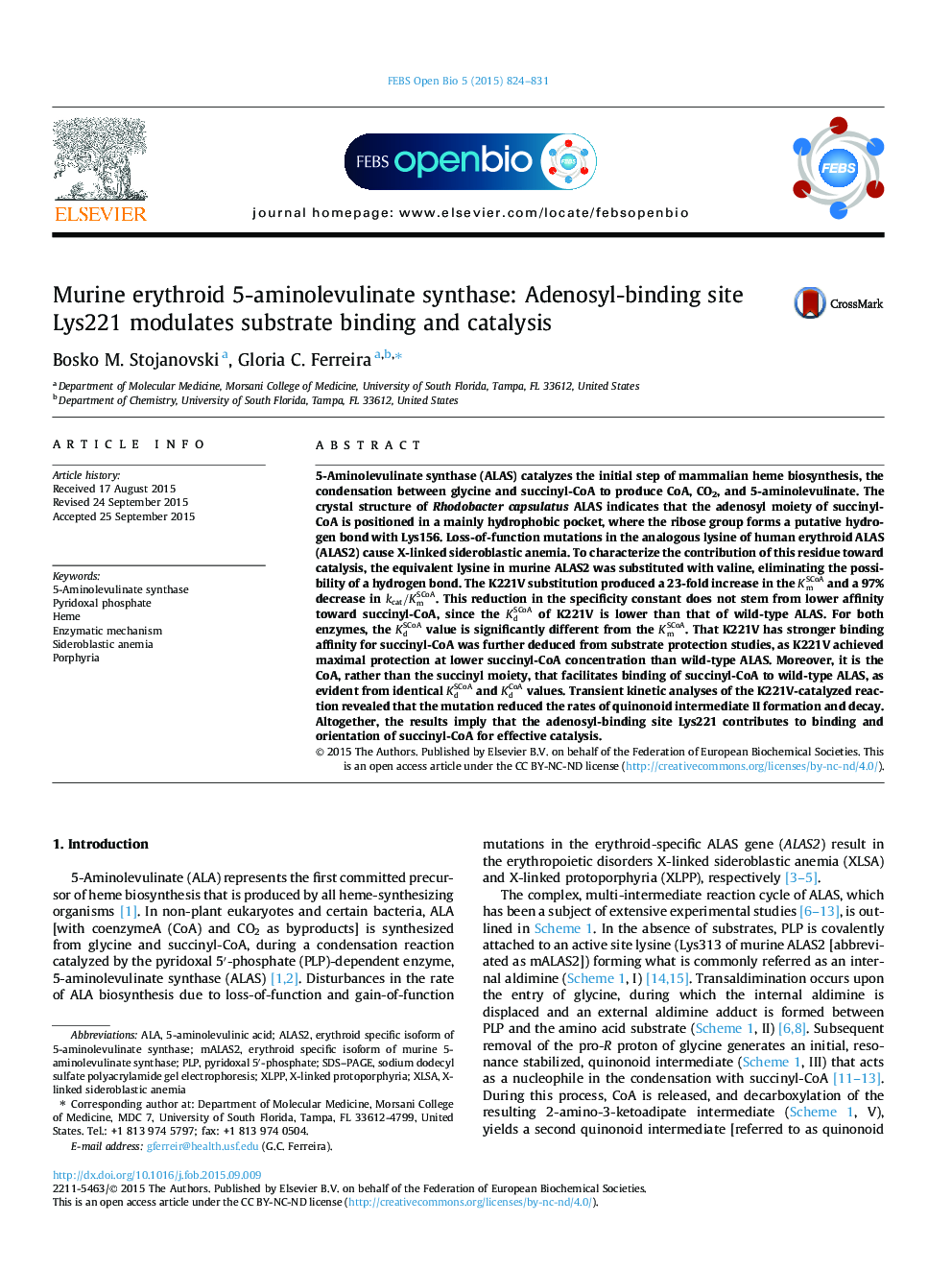 Murine erythroid 5-aminolevulinate synthase: Adenosyl-binding site Lys221 modulates substrate binding and catalysis