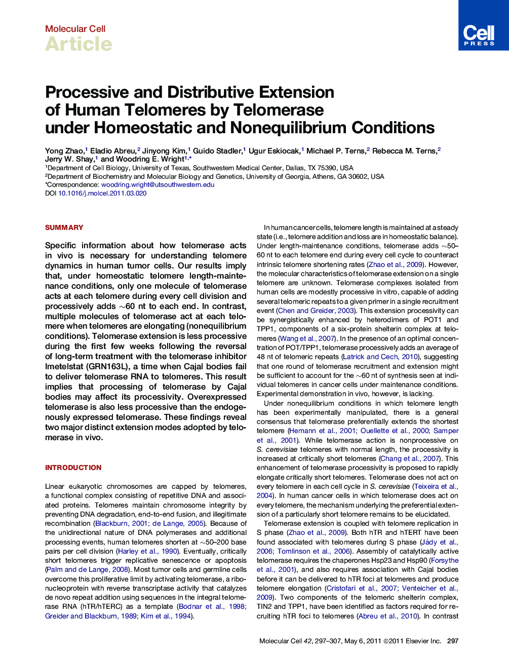 Processive and Distributive Extension of Human Telomeres by Telomerase under Homeostatic and Nonequilibrium Conditions