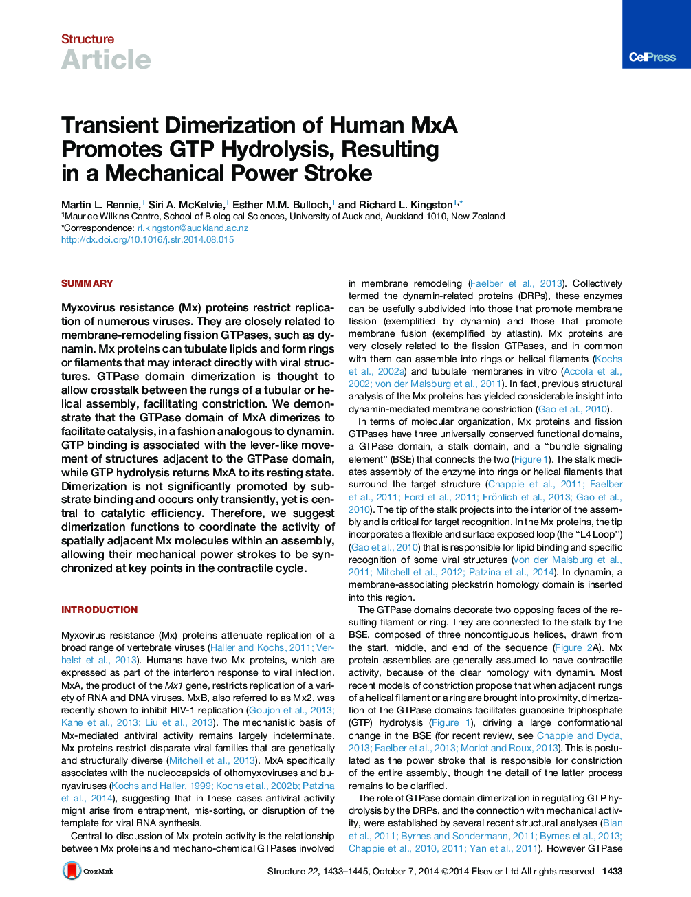 Transient Dimerization of Human MxA Promotes GTP Hydrolysis, Resulting in a Mechanical Power Stroke
