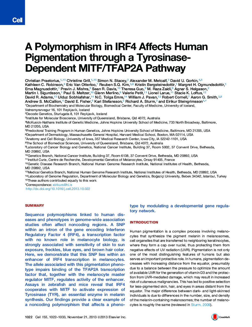A Polymorphism in IRF4 Affects Human Pigmentation through a Tyrosinase-Dependent MITF/TFAP2A Pathway