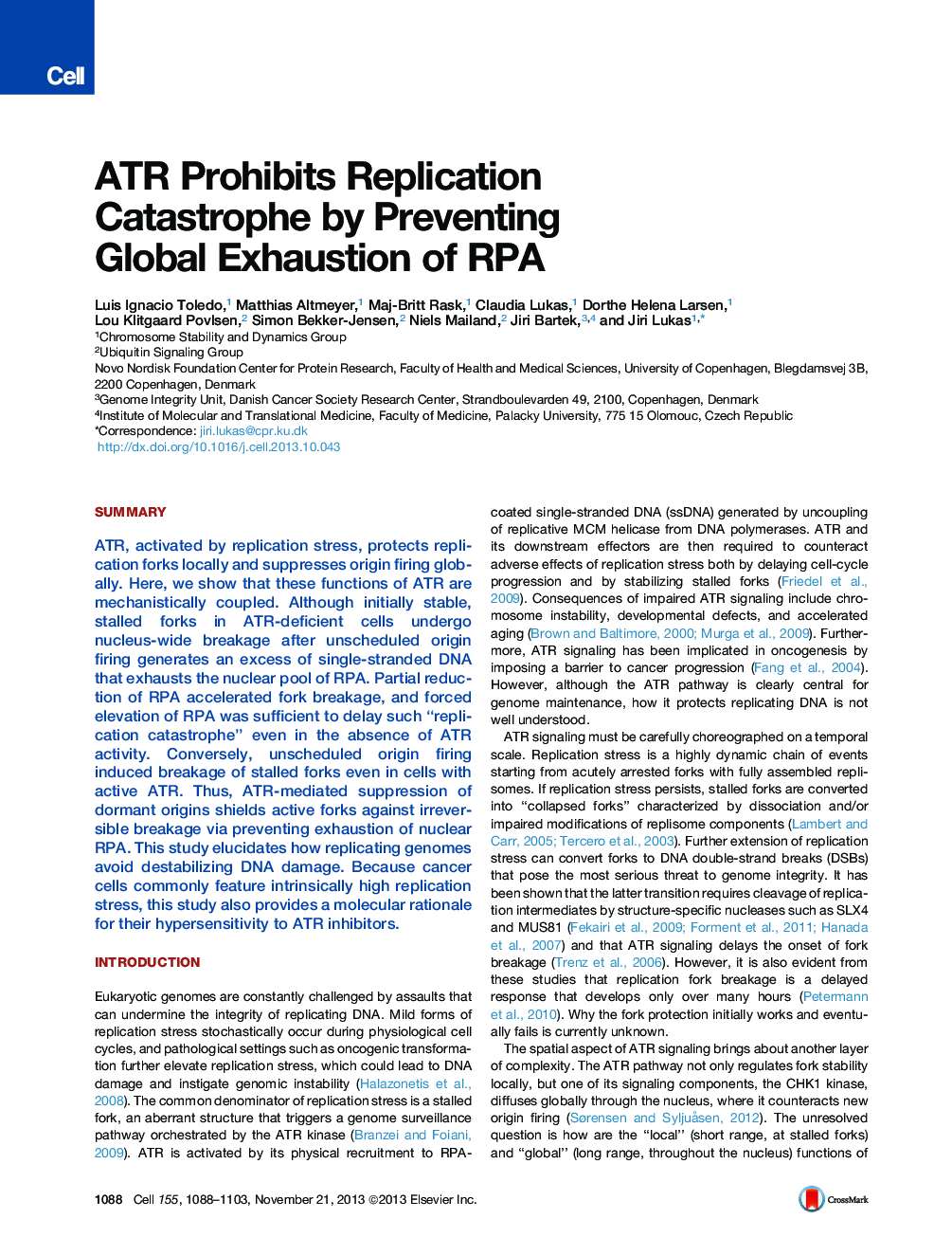 ATR Prohibits Replication Catastrophe by Preventing Global Exhaustion of RPA