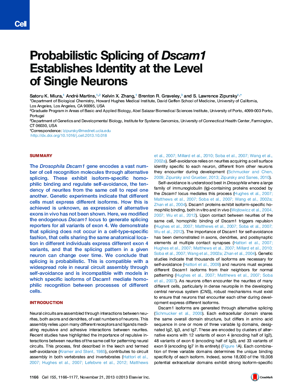 Probabilistic Splicing of Dscam1 Establishes Identity at the Level of Single Neurons