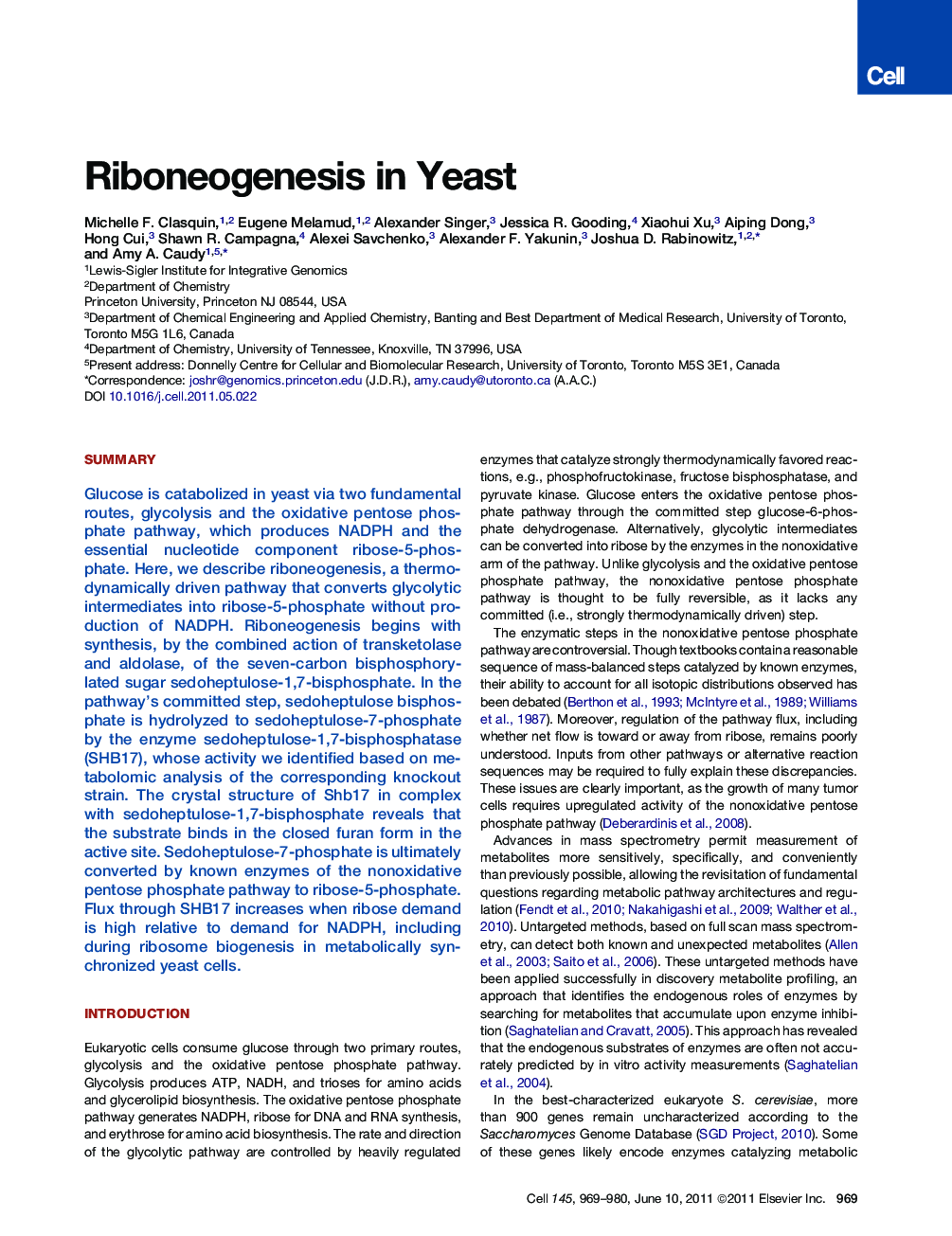 Riboneogenesis in Yeast